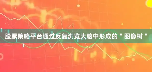 股票策略平台通过反复浏览大脑中形成的＂图像树＂